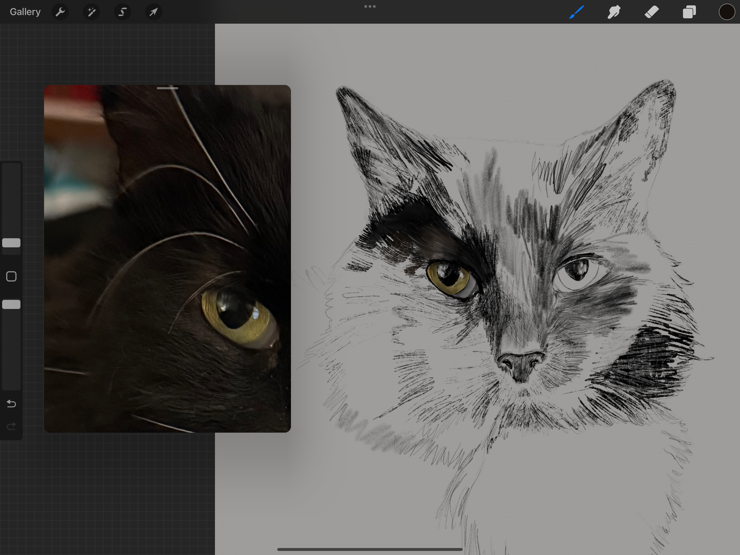 Sketched Pet Portraits