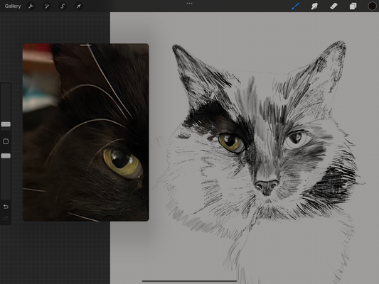 Realistic Pet Portraits