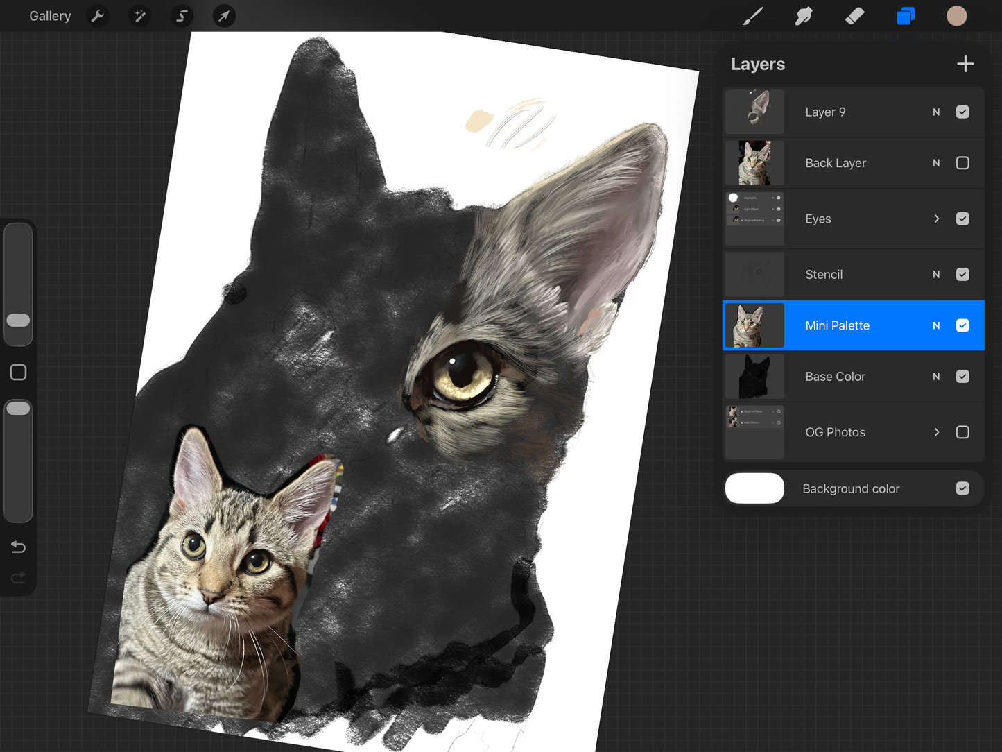 Sketched Pet Portraits