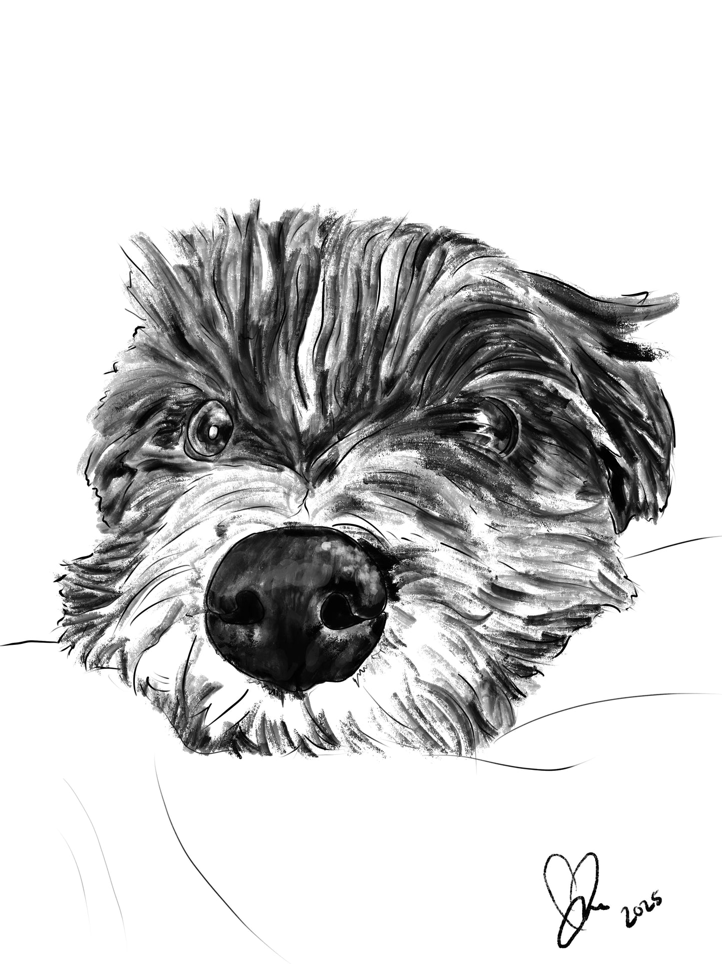 Sketched Pet Portraits