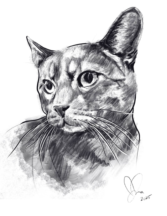 Sketched Pet Portraits