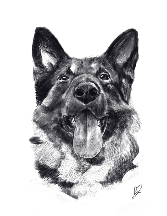 Sketched Pet Portraits