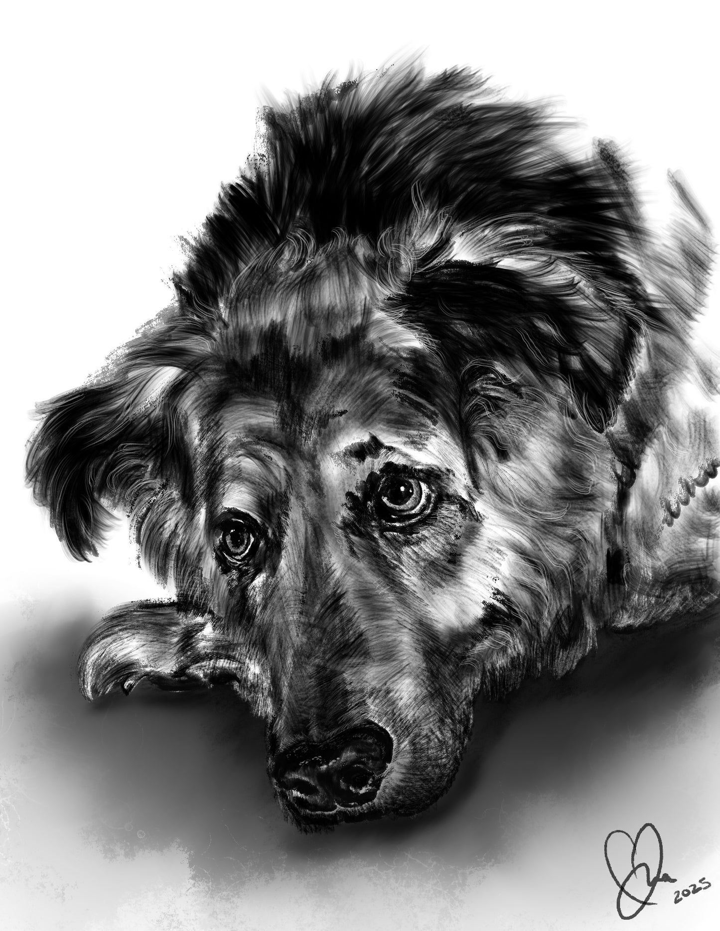 Sketched Pet Portraits